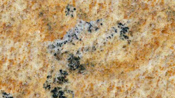 Colonial Brazil Granite Counter